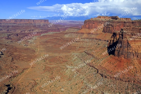 Shafer Canyon im Abendlicht, Canyonlands Nationalpark, Utah, Suedwesten, USA