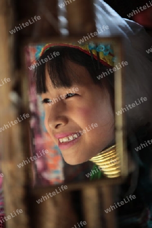 Eine Traditionell gekleidete Langhals Frau eines Paudang Stammes aus Burma lebt in einem Dorf noerdlich von Chiang Mai in Nord Thailand. 