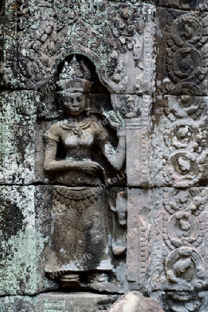 The Temple of  Preah Khan in the Temple City of Angkor near the City of Siem Riep in the west of Cambodia.