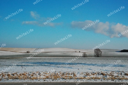 Freies Feld so weit das Auge reicht