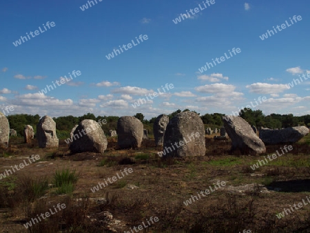 Alligments  Suedbretagne