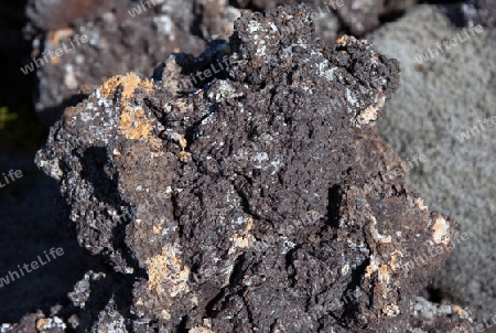 Der S?dwesten Islands, Reykjanes Halbinsel s?dlich von Reykjavik, Lava an der "Blauen Lagune"