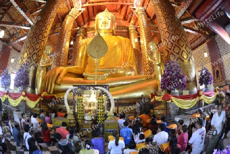 A allday ceremony in the Wat Phanan Choeng Temple in City of Ayutthaya in the north of Bangkok in Thailand, Southeastasia.