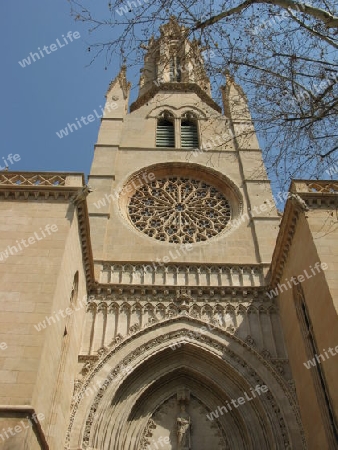 Santa Eulalia in Palma de Mallorca