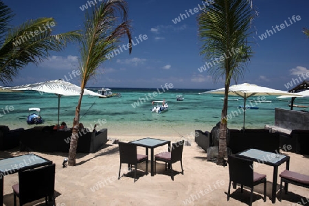 Ein Strand in Jungutbatu Beach im westen der kleinen Insel Nusa Lembongan im osten der Insel Bali in Indonesien in Suedostasien.