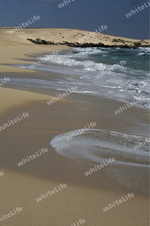 the Beach at the Sanddunes of Corralejo in the north of the Island Fuerteventura on the Canary island of Spain in the Atlantic Ocean.