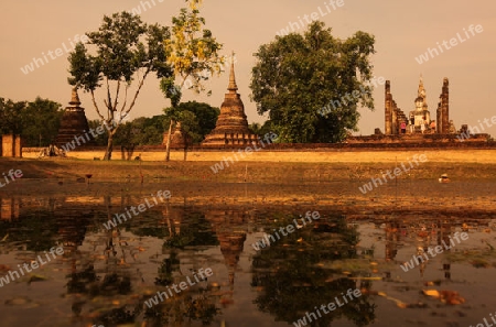 Ein Chedi beim Wat Mahathat Tempel in der Tempelanlage von Alt-Sukhothai in der Provinz Sukhothai im Norden von Thailand in Suedostasien.