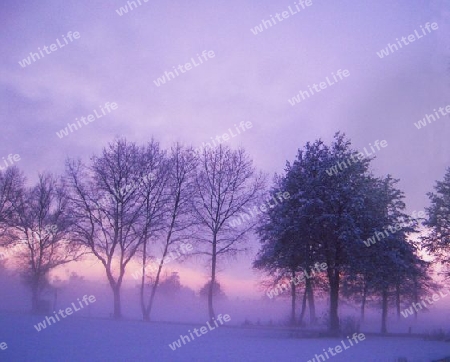 Winternebel 