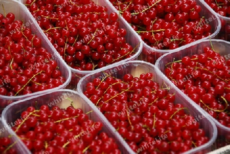 Rote Johannisbeeren am Marktstand