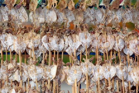 Getrocknete Tintenfische auf dem Markt beim Bun Bang Fai oder Rocket Festival in Yasothon im Isan im Nordosten von Thailand. 