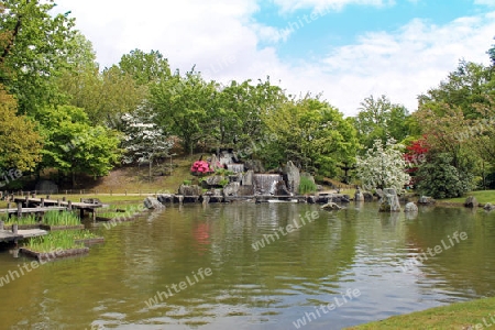 Japanischer Garten in Hasselt, Belgien