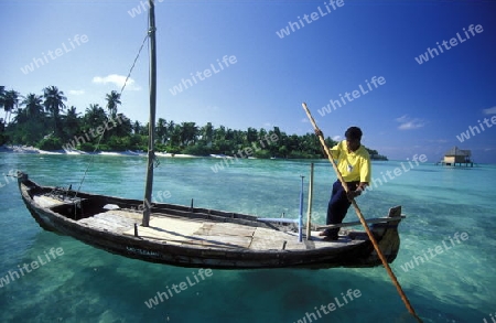 
Der Traumstrand mit Palmen und weissem Sand an der Insel Velavaru im Southmale Atoll auf den Inseln der Malediven im Indischen Ozean.   