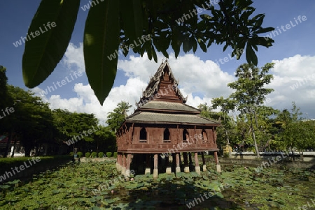 Der Tempel Wat Thung Si Meuang in der Stadt Ubon Ratchathani im nordosten von Thailand in Suedostasien.