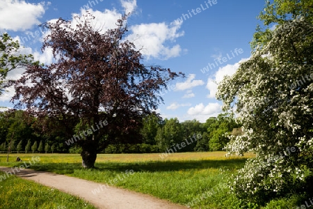 Schlosspark Machern