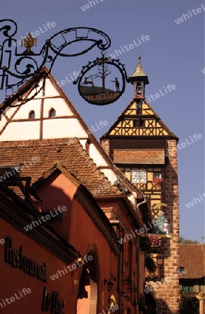 the olt town of the village of Riquewihr in the province of Alsace in France in Europe