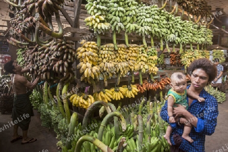 a big Banana Shop in a Market near the City of Yangon in Myanmar in Southeastasia.