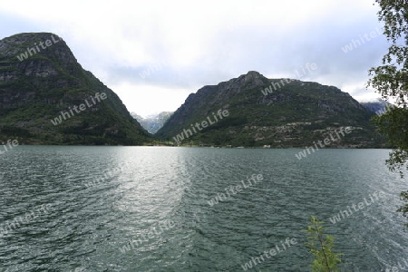 Gletscherzunge am Hardangerfjord