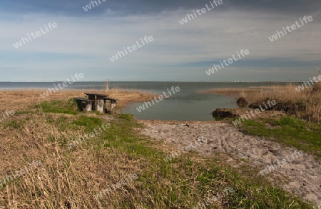 Am Boddstetter Bodden, Nationalpark Vorpommersche Boddenlandschaft, Deutschland