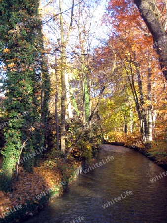 Englischer Garten M?nchen