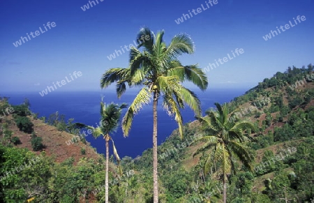 the mountain Landscape on the Island of Anjouan on the Comoros Ilands in the Indian Ocean in Africa.   