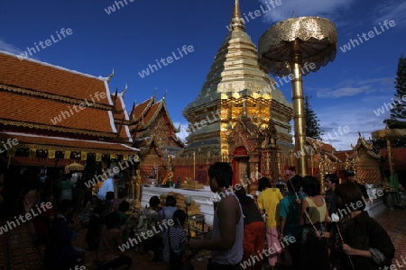 Der Chedi der Tempel Anlage des Wat Phra That Doi Suthep bei Chiang Mai in der Provinz Chiang Mai im Norden von Thailand in Suedostasien.