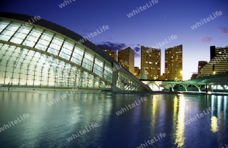 Die City of Arts and Science in der Neustadt von Valencia, Spanien.