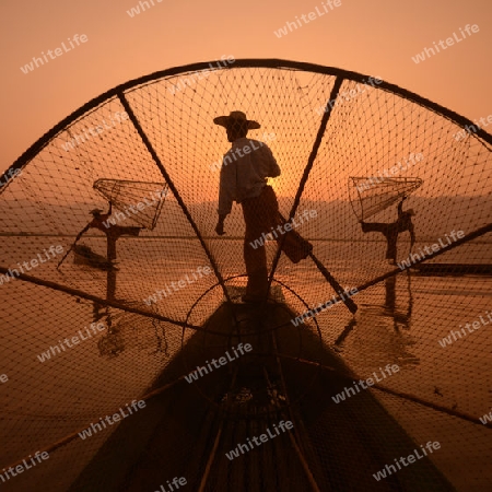 Fishermen at sunrise in the Landscape on the Inle Lake in the Shan State in the east of Myanmar in Southeastasia.