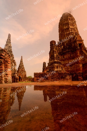 The Wat Chai Wattanaram Temple in City of Ayutthaya in the north of Bangkok in Thailand, Southeastasia.