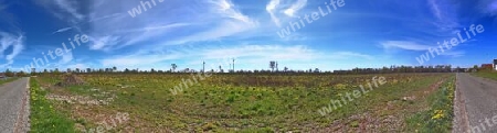 Beautiful high resolution panorama of a northern european country landscape with fields and green grass.