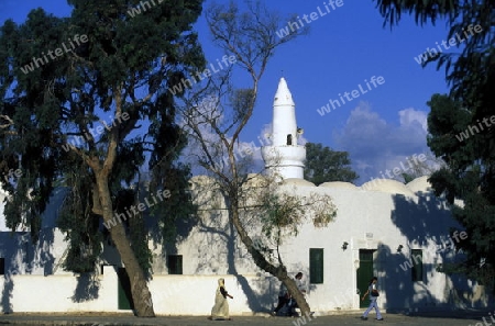 Eine traditionelle Moschee auf der Insel Djerba am Mittelmeer im sueden von Tunesien in Nordafrika.