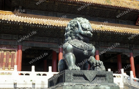 the forbidden city in the city of beijing in the east of china in east asia. 