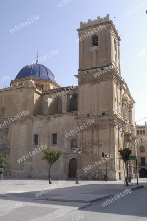 Basilika von Elche