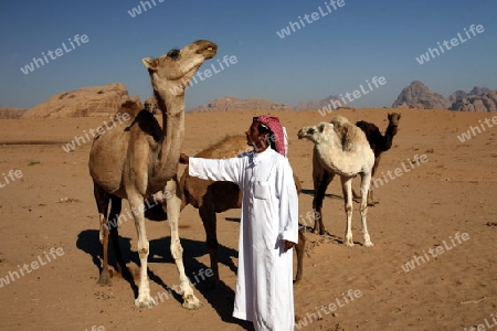 The Landscape of the Wadi Rum Desert in Jordan in the middle east.