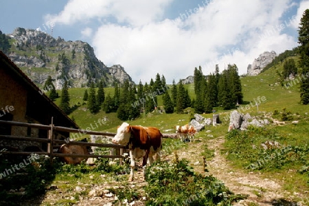 Alm auf dem Wendelstein