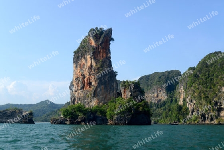 The Hat Tom Sai Beach at Railay near Ao Nang outside of the City of Krabi on the Andaman Sea in the south of Thailand. 