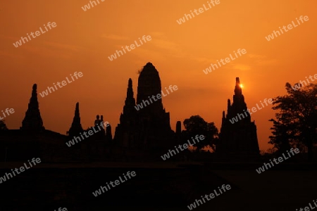 Der Wat Chai Wattanaram Tempel in der Tempelstadt Ayutthaya noerdlich von Bangkok in Thailand.