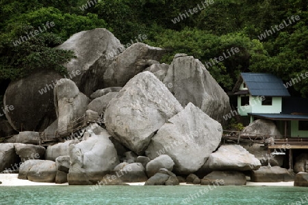 Die Strand und Insellandschaft auf der Insel Koh Naang Yuan neben der Insel Ko Tao im Golf von Thailand im Suedwesten von Thailand in Suedostasien.  