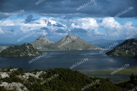 Das Dorf Vripazar am Skadarsee in Montenegro im Balkan in Europa.