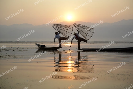 Fishermen at sunrise in the Landscape on the Inle Lake in the Shan State in the east of Myanmar in Southeastasia.