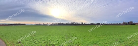 Beautiful high resolution panorama of a northern european country landscape with fields and green grass.