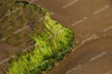 Sandstrand im S?den von Sri Lanka