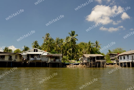 A fishing Village on a lagoon near the City of Krabi on the Andaman Sea in the south of Thailand. 