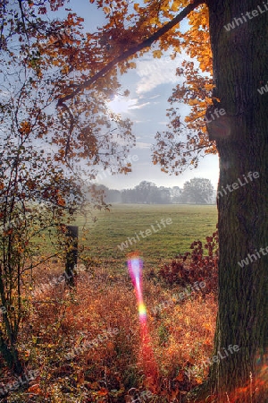 Herbstlandschaft