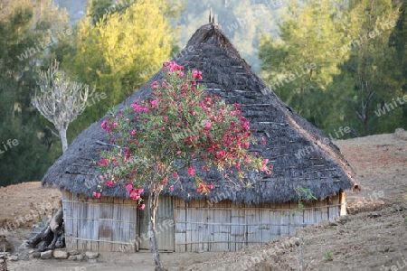  Bergdorf Maubisse suedlich von Dili in Ost Timor auf der in zwei getrennten Insel Timor in Asien.  