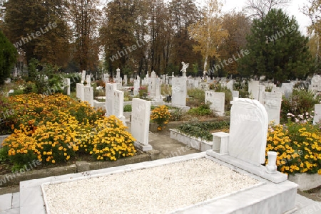 Grave stones