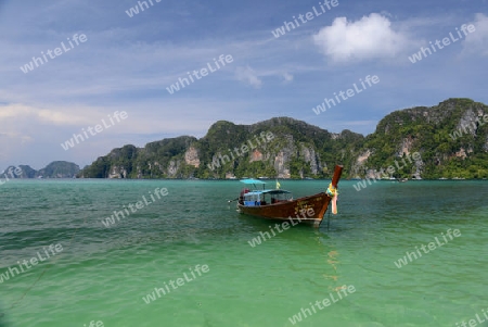 A Beach on the Island of Ko PhiPhi on Ko Phi Phi Island outside of the City of Krabi on the Andaman Sea in the south of Thailand. 