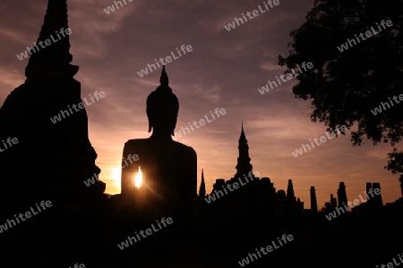 Eine Buddha Figur  im Wat Mahathat Tempel in der Tempelanlage von Alt-Sukhothai in der Provinz Sukhothai im Norden von Thailand in Suedostasien.