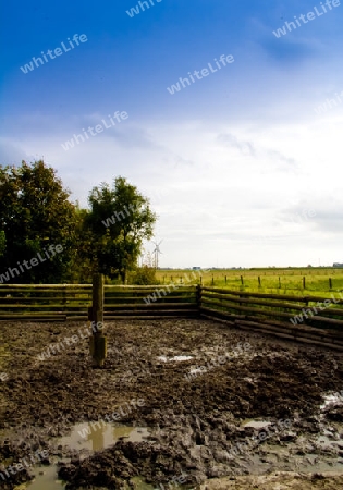 Bauernhof landschaft - Schweinestall