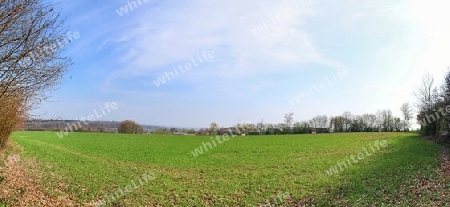 Beautiful high resolution panorama of a northern european country landscape with fields and green grass.