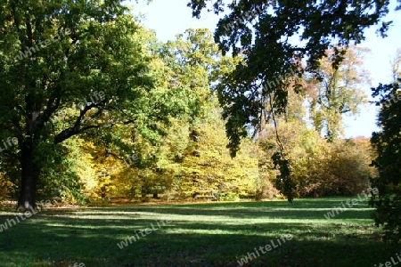 Herbststimmung im Neuen Garten